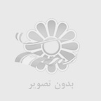 کاربردها و مزایای چنگال یکبار مصرف کوچک